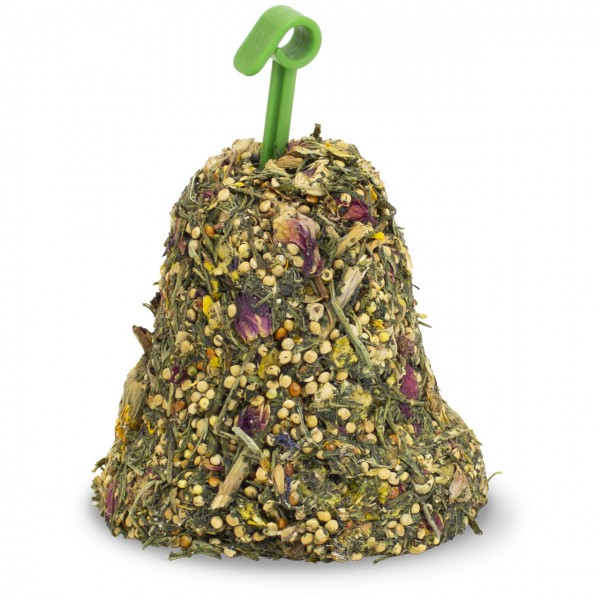 A bell-shaped feeding bowl for birds or small animals, made from pressed green herbs, light-coloured seeds and colourful petals. A bright green plastic loop for hanging protrudes from the top.