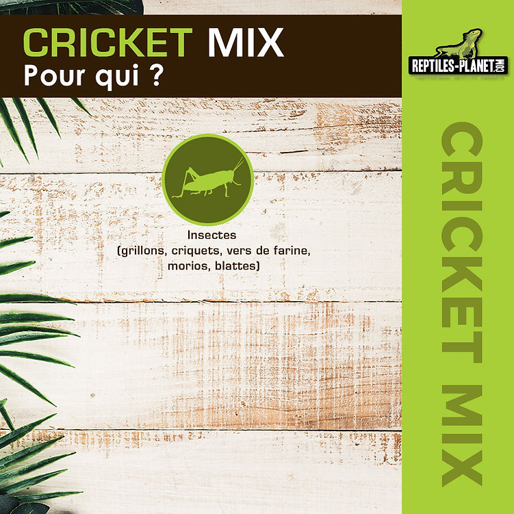 Cricket Mix