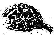 SIGS - Schildkröteninteressen-Gemeinschaft Schweiz