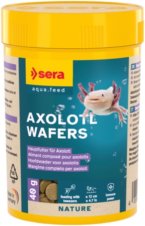 Plaquettes d'axolotl Plaquettes d'axolotl