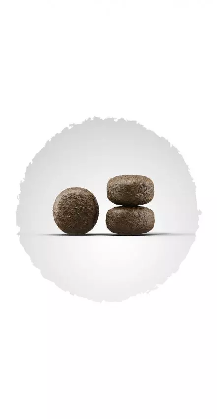 Josera Lamm und Reis