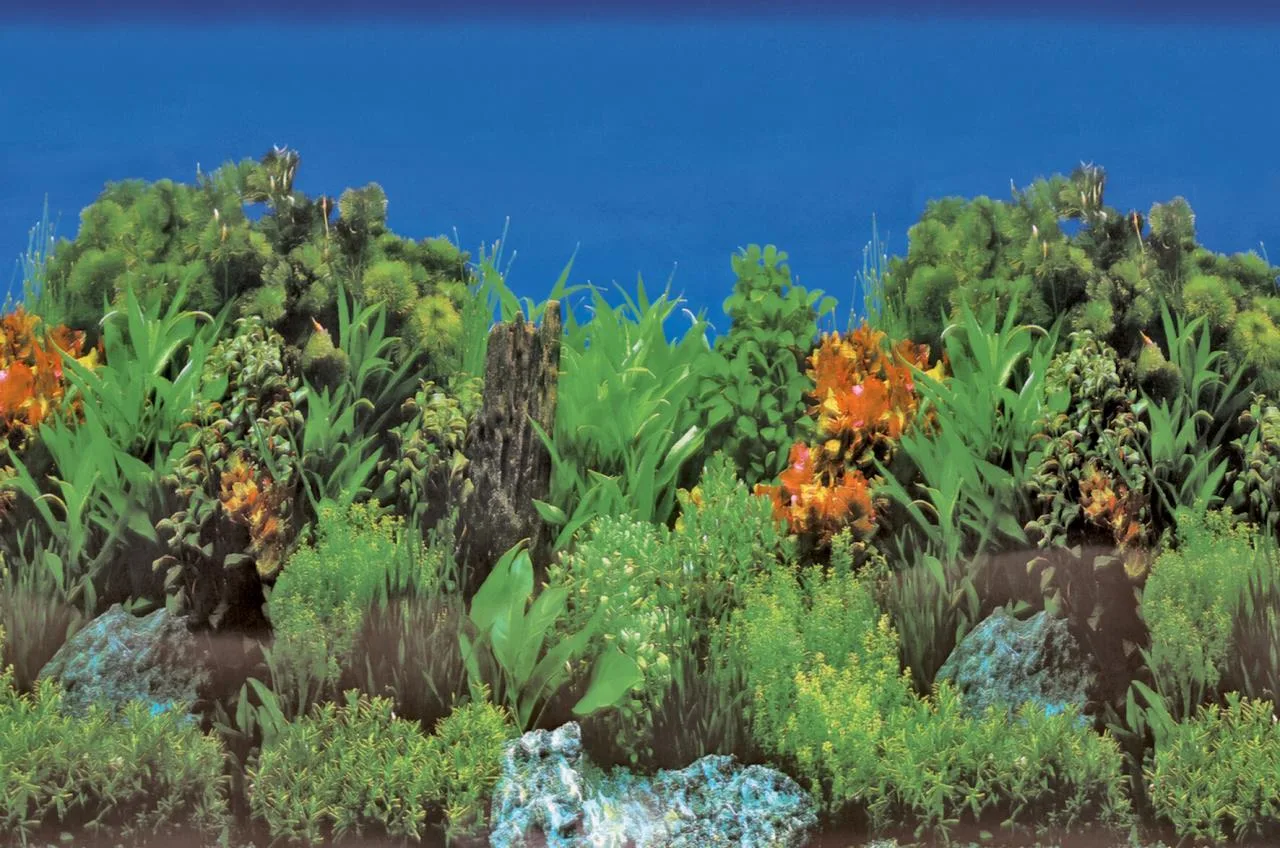 Aquarienhintergrund mit grünen Pflanzen, orangefarbenen Akzenten und blauen Steinen vor blauem Hintergrund.