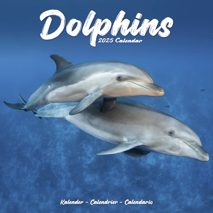 Calendrier 2025 Delphine