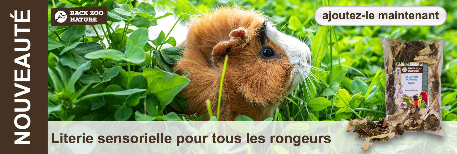 Un cochon d'Inde au pelage brun et blanc est assis dans un trèfle vert. A droite, un sac de litière et en haut, l'inscription "ajouter maintenant".