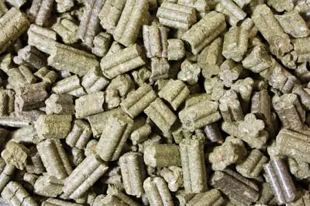 75362ea4de190ea3e99dc460a6852536 JR Farm Grainless Complete Zwergkaninchen