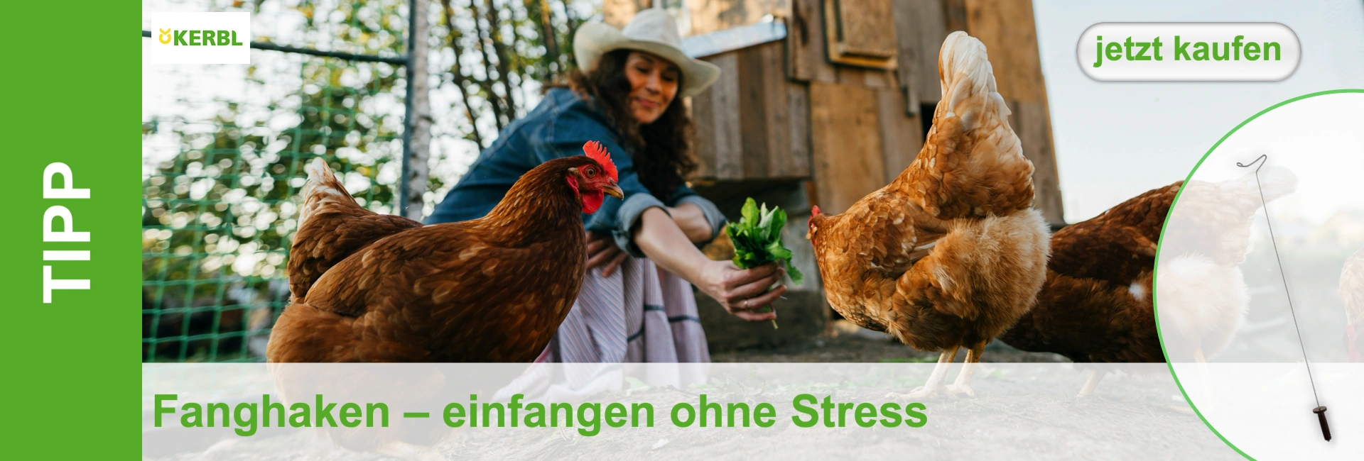 Eine lächelnde Frau mit Cowboyhut füttert in einem Hühnerstall zwei braune Hühner mit frischem Grünzeug. Die Hühner sind aufmerksam und nah bei der geduckten Frau. Im Hintergrund ist ein Holzstall erkennbar, die Szene ruhig.