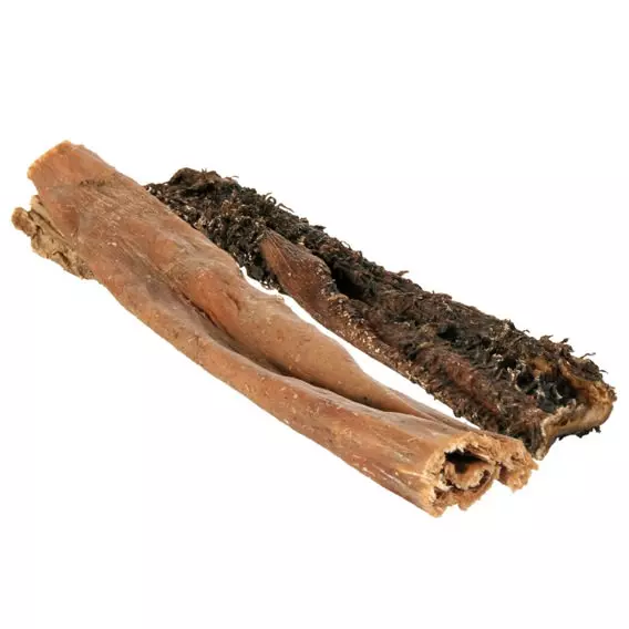 Beef rumen