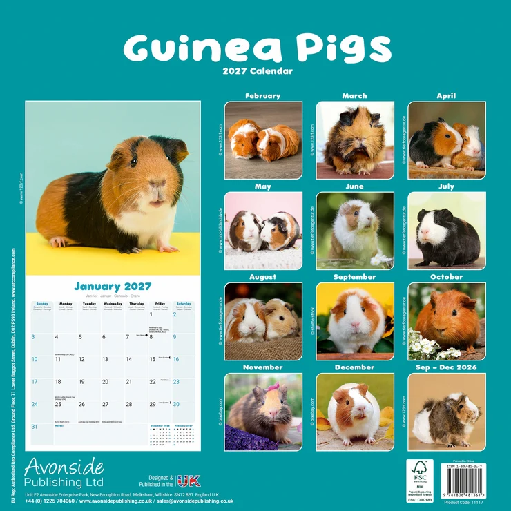 Kalender 2027 Meerschweinchen - Guinea Pig