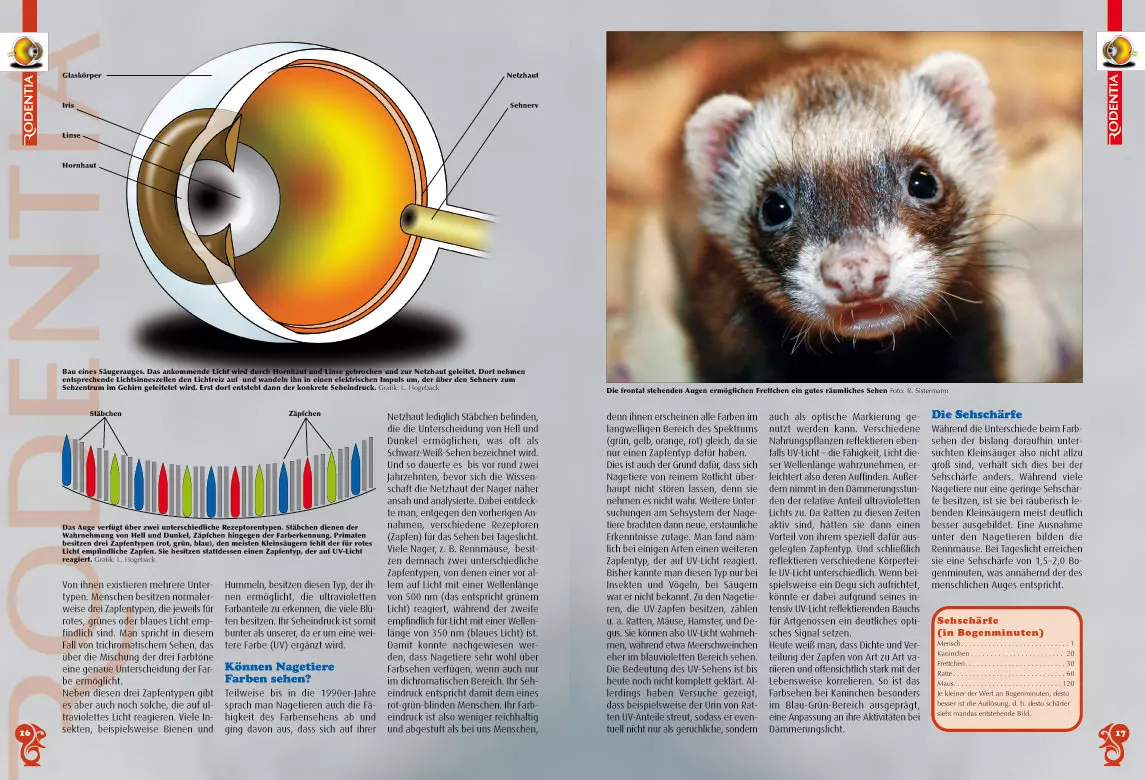 rodentia-84-kleine-saeuger-grosse-sinne-2 Rodentia 84 - Kleine Säuger - Grosse Sinne