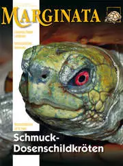 Marginata 42 - Schmuck-Dosenschildkröten