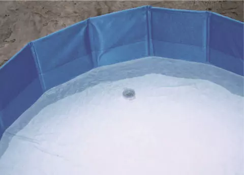 Dog pool