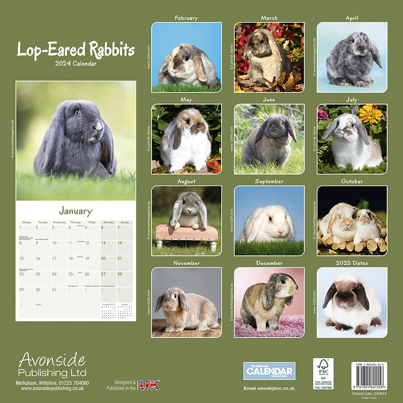 Calendar 2024 Lop-Eared Rabbits