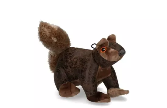 Eichhörnchen-2