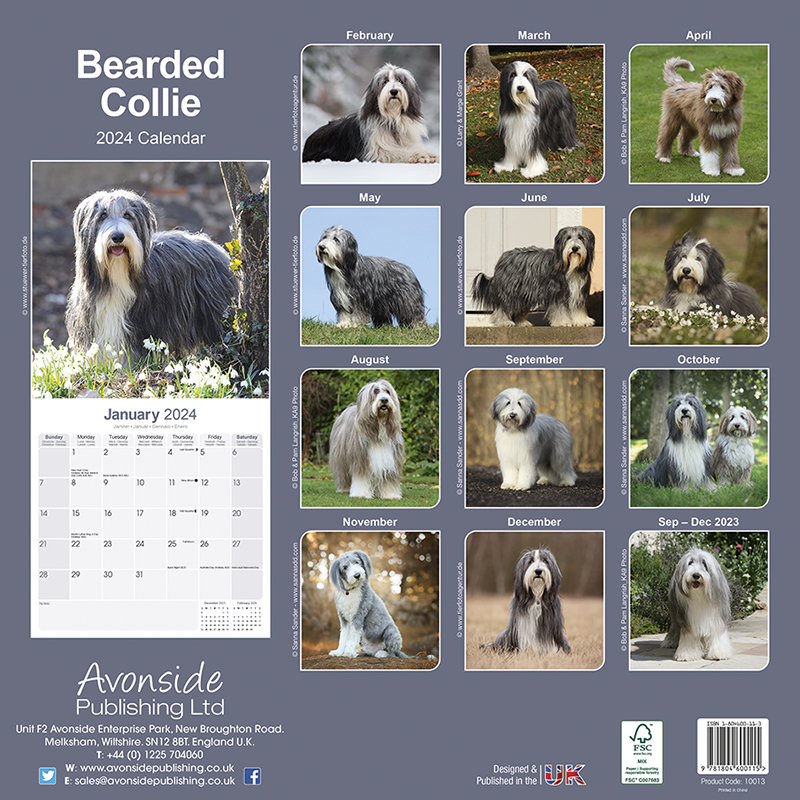 Kalender 2024 Bearded Collie - Beardie