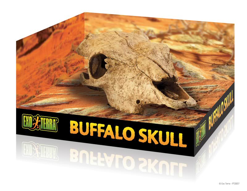 Buffalo Skull / Cachette sûre