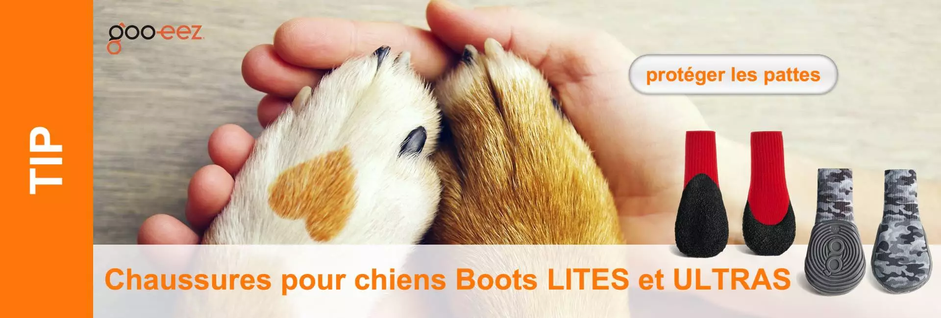 La main tient deux pattes de chien, l'une claire avec une tache brune, l'autre brune, à côté des chaussures de chien.