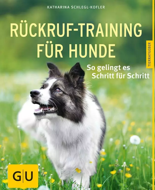 Rückruf-Training für Hunde