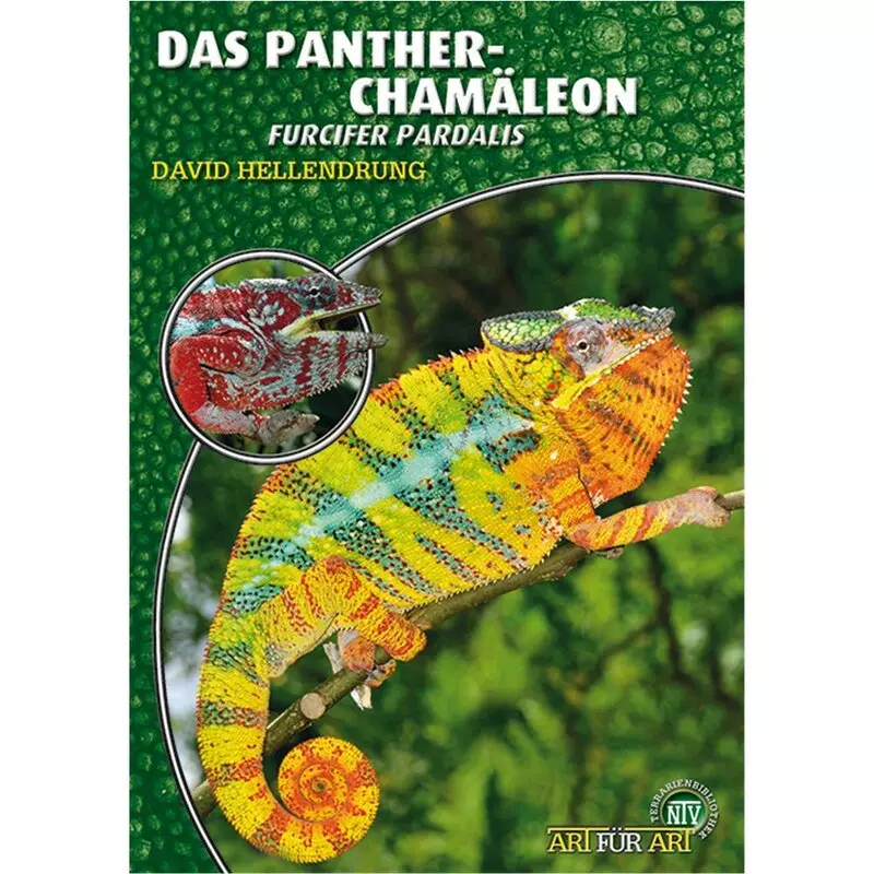Das Pantherchamäleon