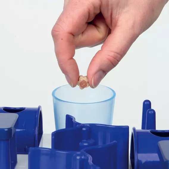 Trixie, Cat Activity Playground