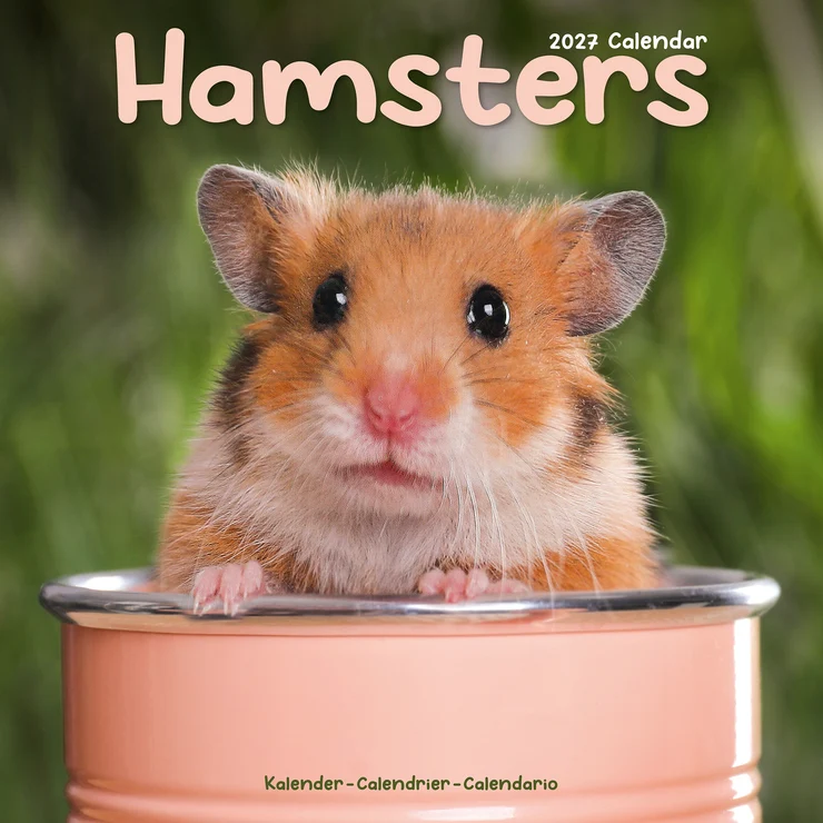 Kalender 2027 Hamster - Hamsters - Goldhamster