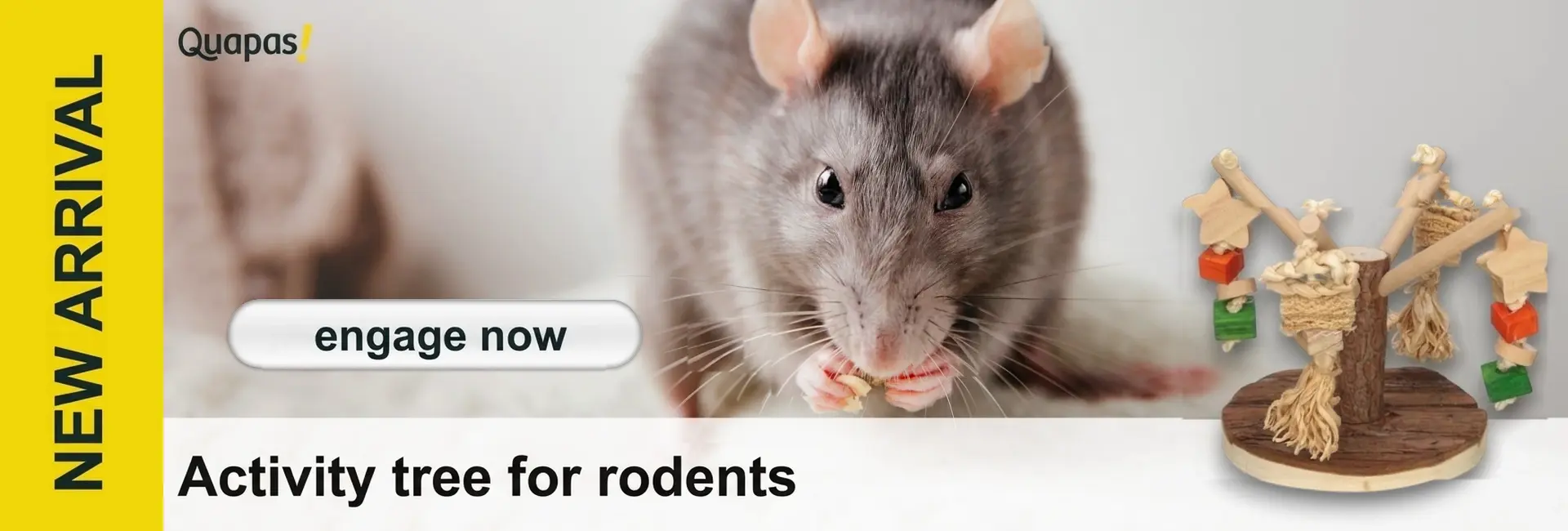 A grey rat is happily munching on a small piece of food, its whiskers clearly visible and its little paws damp. In the foreground on the right stands a natural wooden rodent activity tree decorated with stars and colourful blocks.