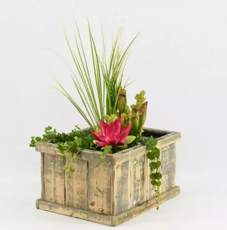 Terrassenteich Set - Holz Schale