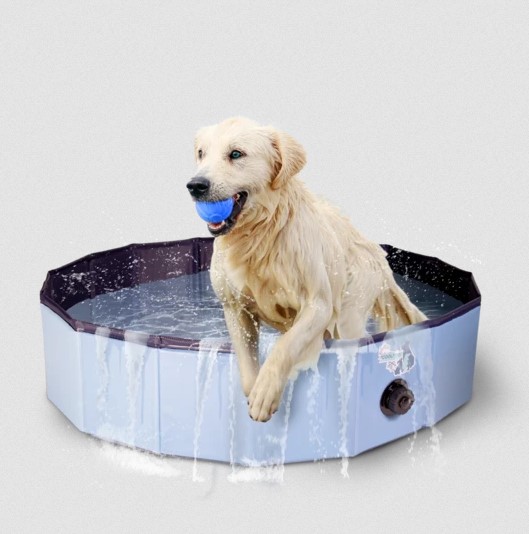 CoolPets Dog Pool