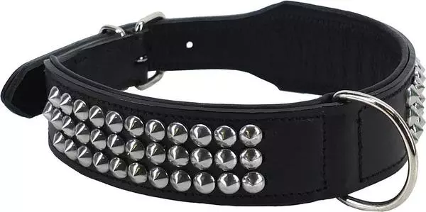 Hundehalsband mit Lederfutter & Ziernägel