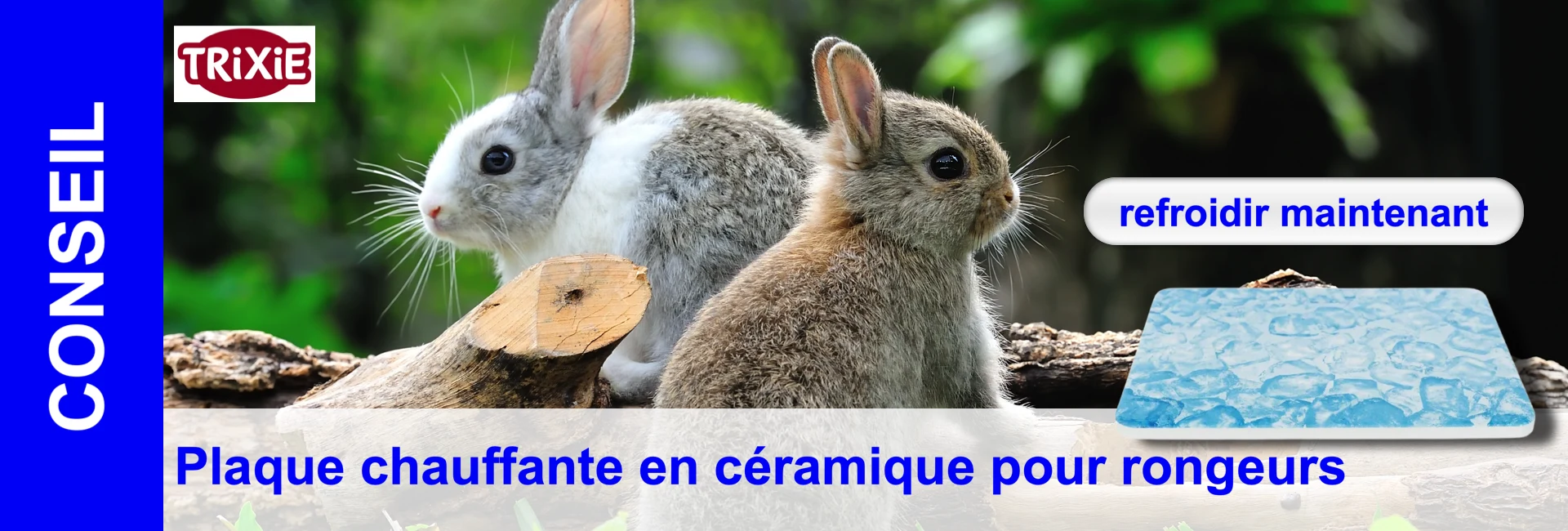 Deux lapins sont assis sur un morceau de bois à côté d'une plaque réfrigérante avec un liquide bleu dessus.