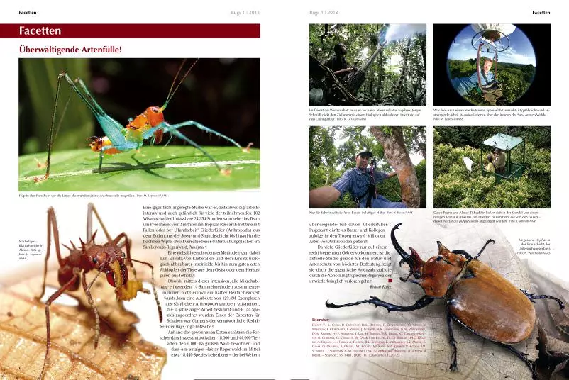 bugs-01-goliathkaefer-bunte-giganten-2 Bugs Nr. 01 - Goliathkäfer bunte Giganten
