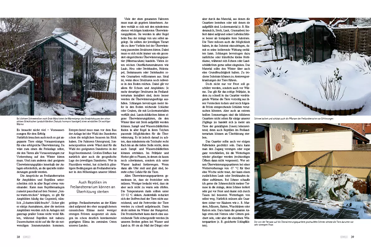 Draco 55 - Terrarientiere richtig überwintern