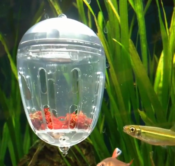 Superfish Grazing Pod Feeder  Superfish Grazing Pod Feeder