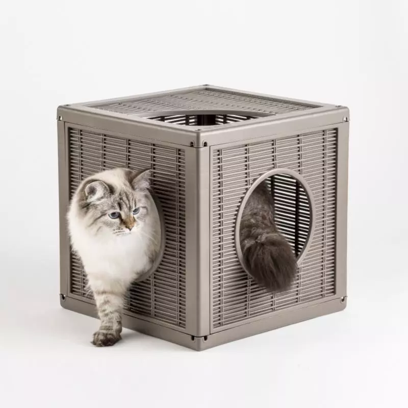 Grotta del gatto Qubl