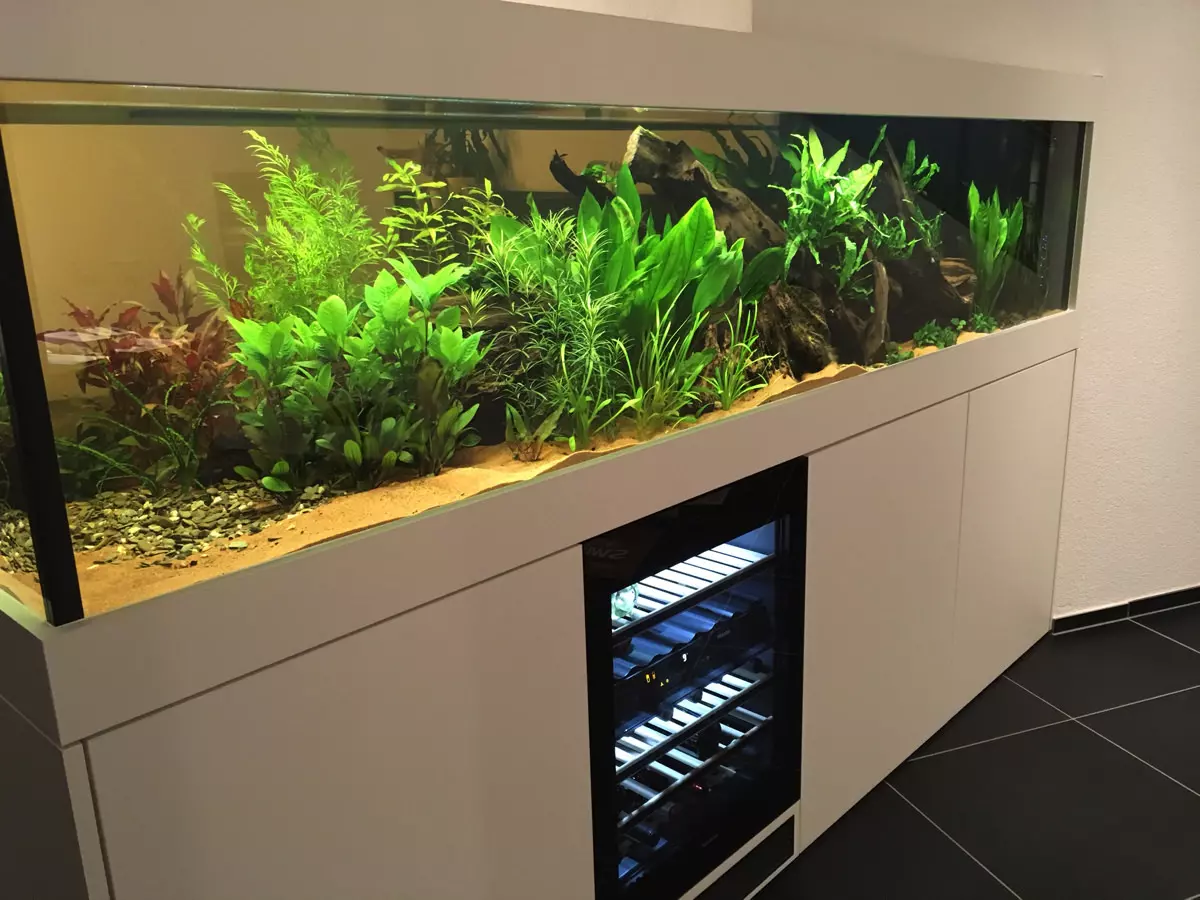 Aquaristik - Was versteht man unter Aquaristik?