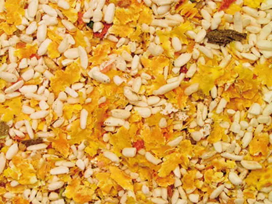 Mixer, Puffreis & Gemüse LECKY 