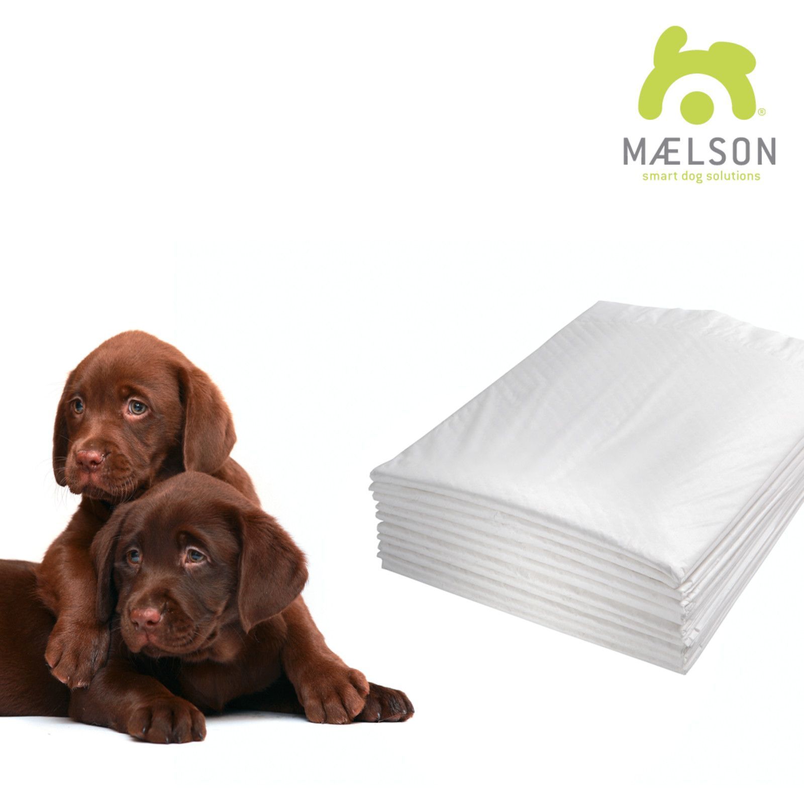 Deux chiots Labrador bruns devant une pile de serviettes hygiéniques blanches / doggy pads de Maelson.