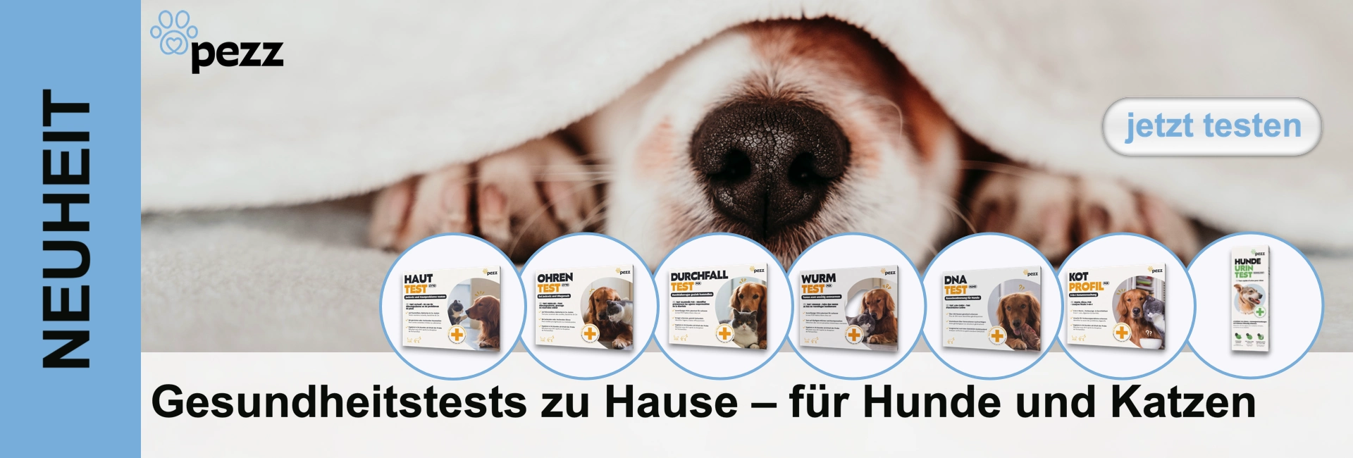 Cane sotto una coperta, compresa la confezione di prodotti per test sanitari per cani e gatti.