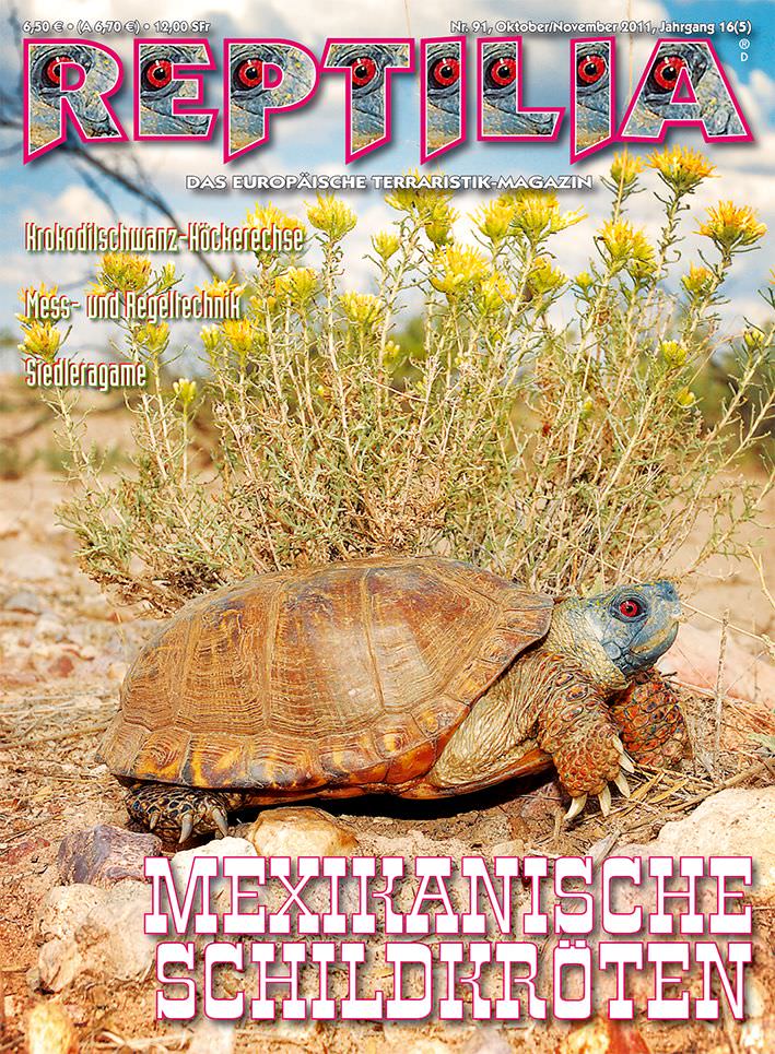 Reptilia 91 - Mexikanische Schildkröten