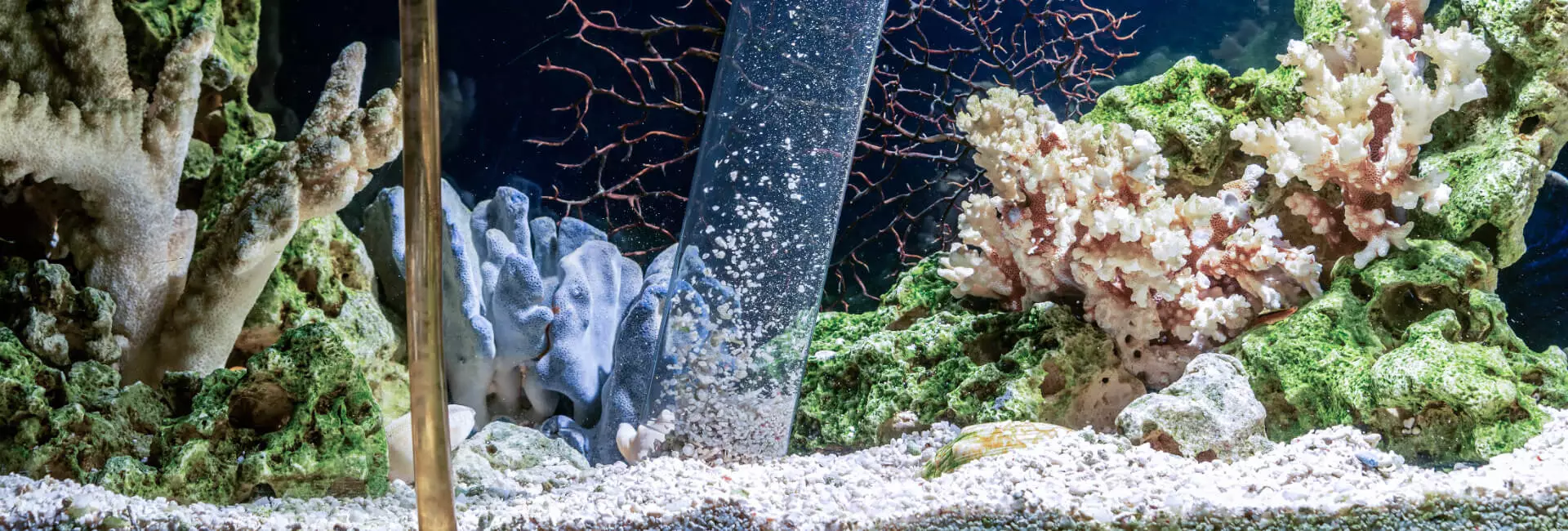 Meerwasser Aquaristik Zubehör Meerwasser Aquaristik Zubehör