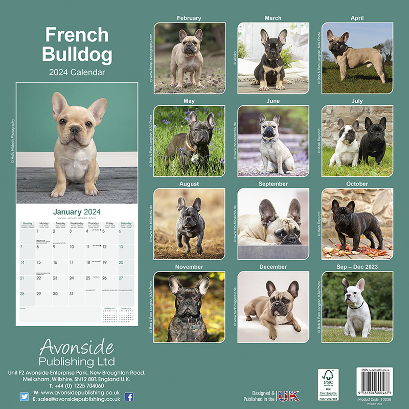 Kalender 2024 French Bulldog - Französische Bulldogge