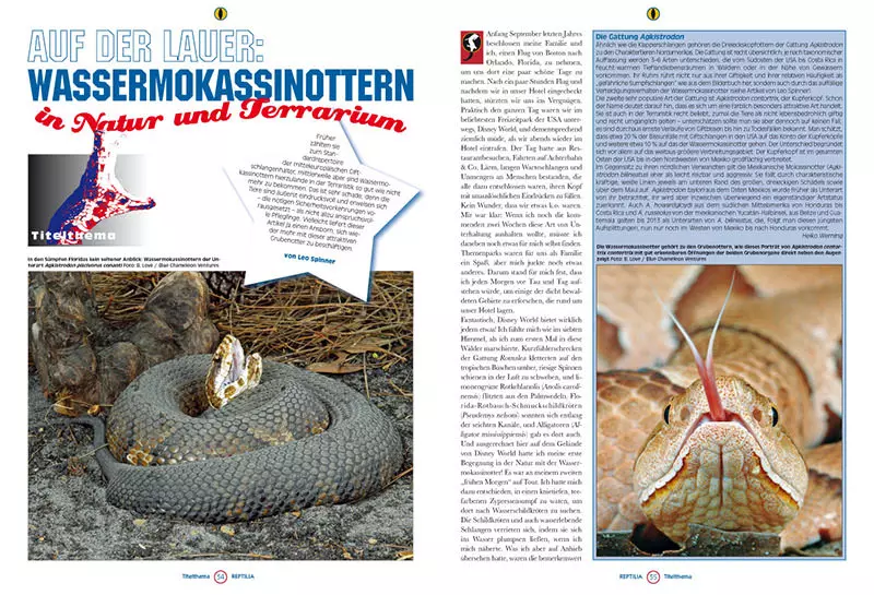 reptilia-124-2 Reptilia 124 - Nordamerikanische Giftschlangen