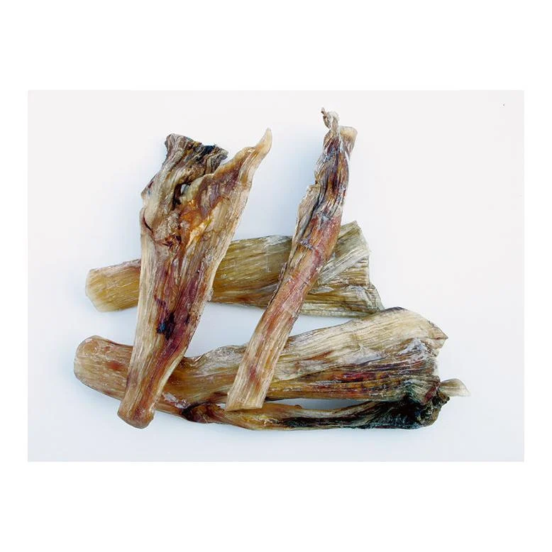 Mehrere Stücke Lecky Duros Light Hundekauartikel aus Straußensehne auf hellem Grund.