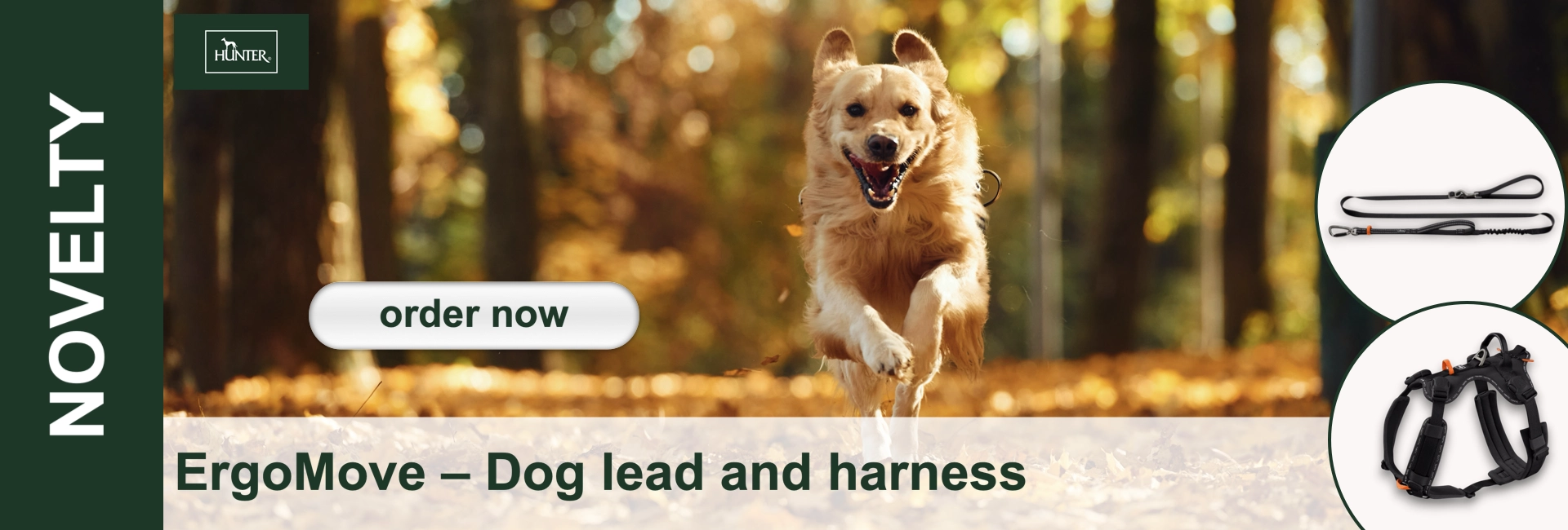 A happy Golden Retriever runs through a sunny autumn wood, mouth agape and ears wagging. Brown leaves cover the ground; in the background are blurred trees and golden foliage. Next to it: a black dog lead and an ErgoMove harness.