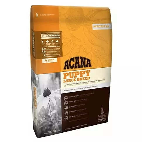 Acana Puppy large breed