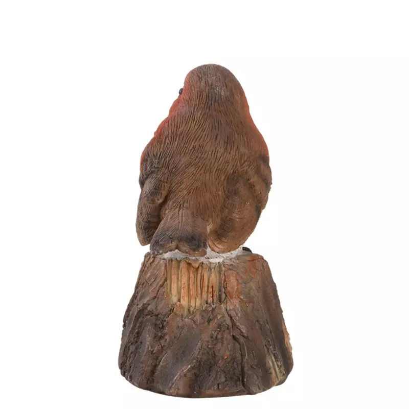 Oiseau d'accueil