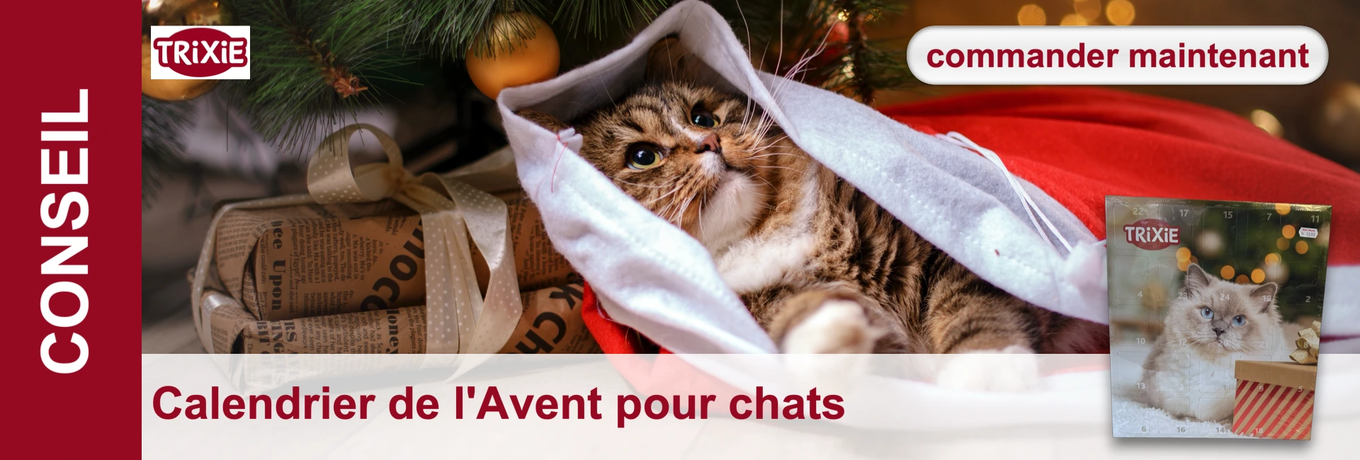 Un chat tigré est couché dans le sac rouge du Père Noël sous un sapin de Noël, à côté de cadeaux et d'un calendrier de l'Avent.