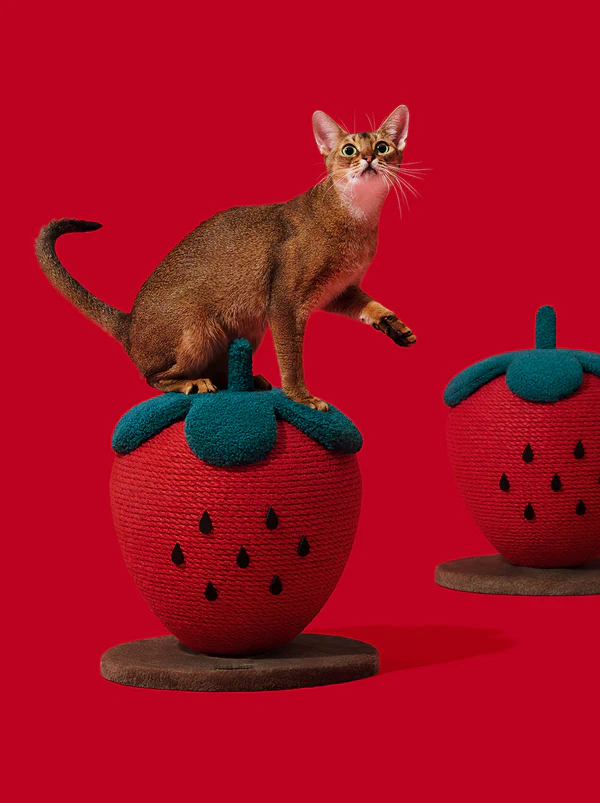 Balle à gratter fraise
