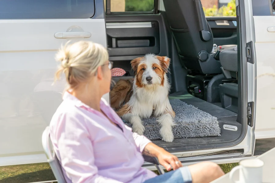 A fluffy brown-and-white dog lies relaxed on a grey dirt-trapping mat in the open side area of a white van. He is looking intently forwards, whilst a blonde woman can be seen out of focus in the foreground.