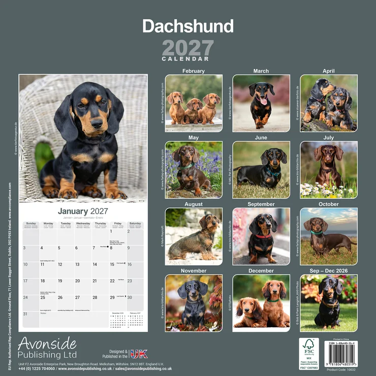 Calendar 2025 Sausage Dog - Dachshund