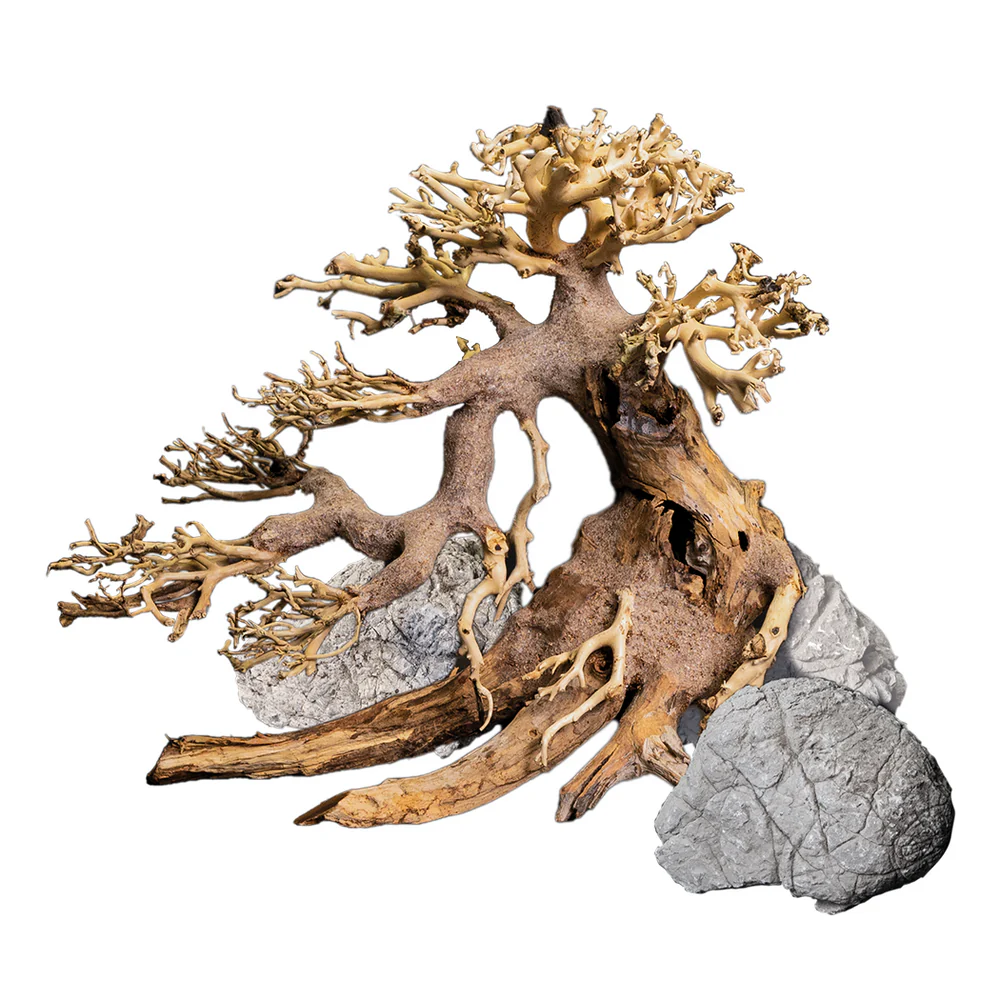 Dekor Bonsai Box Dekor Bonsai Box